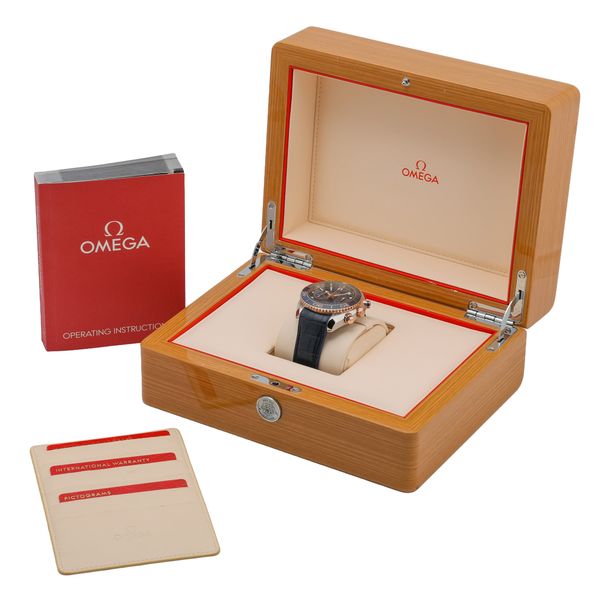 Omega Planet Ocean 215.23.46.51.03.001